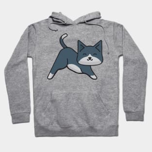 cute kitten - cat yoga position Hoodie